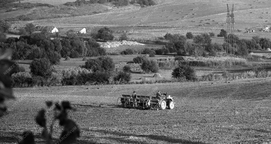 Mezőgazdaság - Őszi munkálatok Baranya megyében   