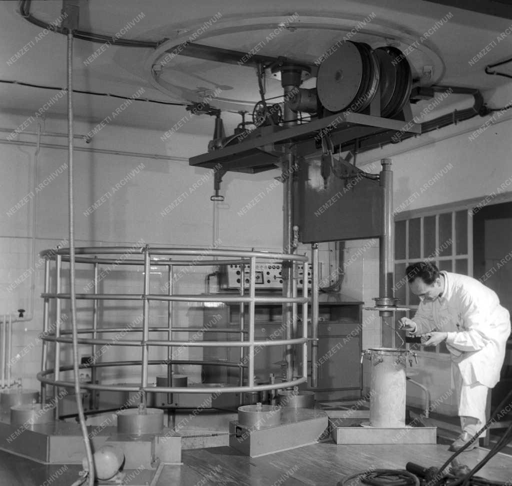 Tudomány - Sugárbiológiai és Sugáregészségügyi Kutató Intézet