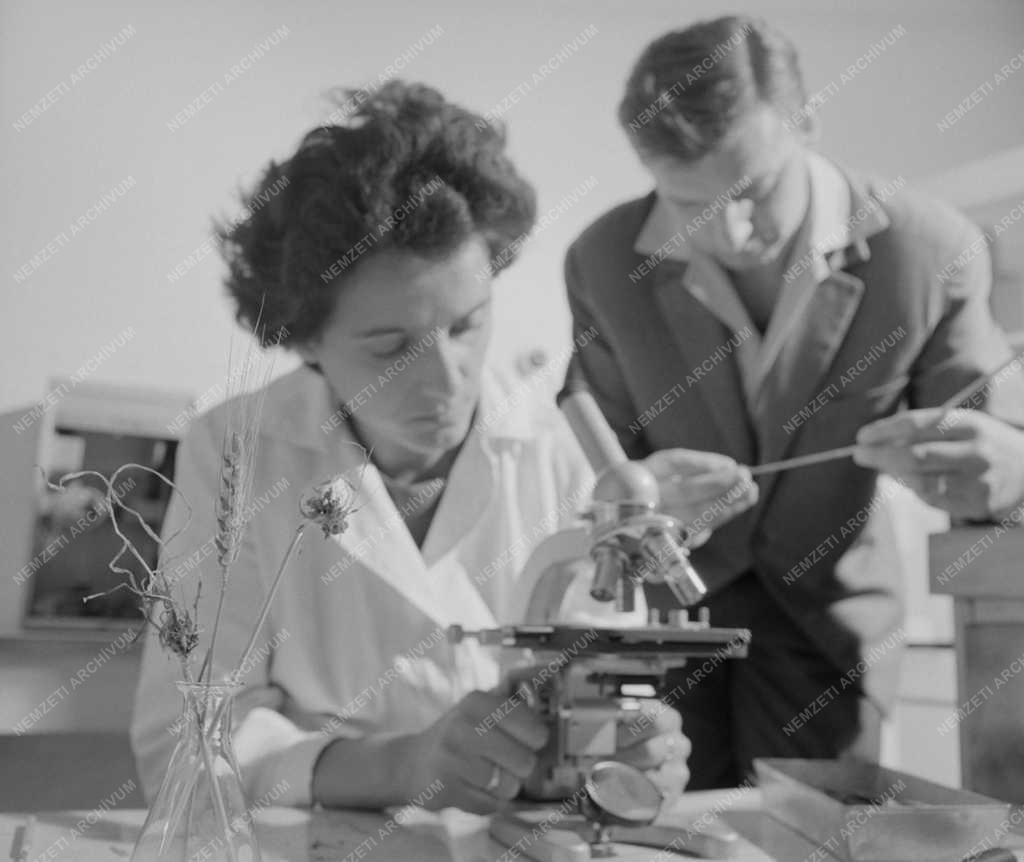 Mezőgazdaság - Somogy megyei Növényvédő Állomás