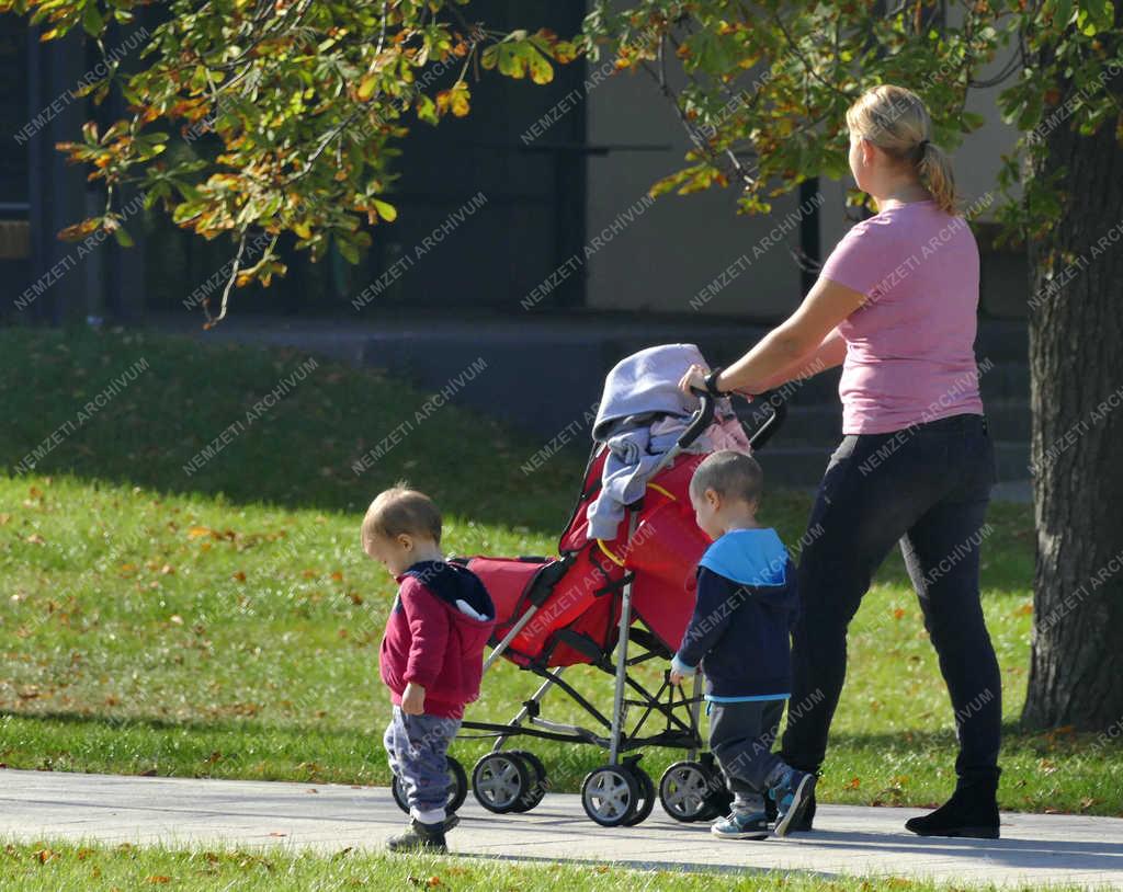  Természet - Martonvásár - Ősz a Brunszvik-kastély parkjában