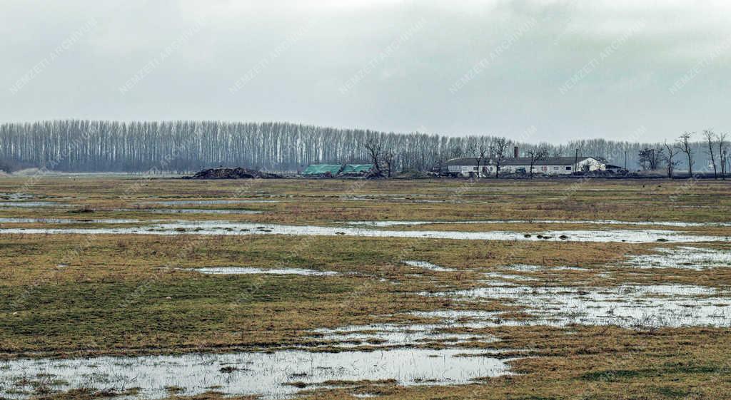 Időjárás - Balmazújváros - Belvíz Hajdú -Bihar megyében