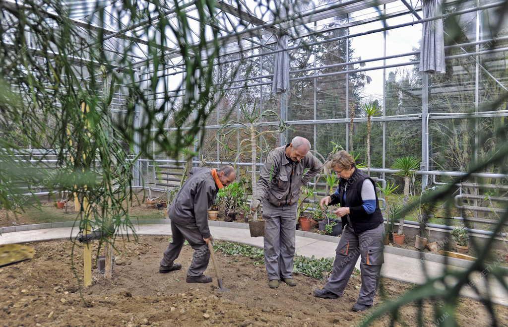Épület - Debrecen - Új üvegház a botanikus kertben