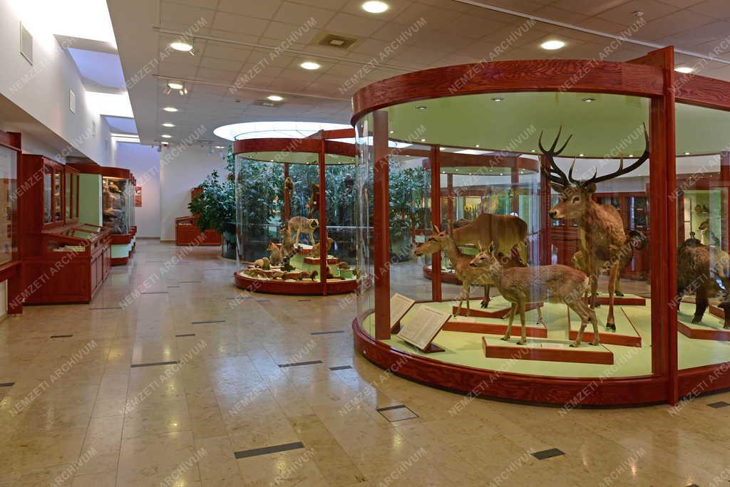 Kultúra - Gyöngyös - Mátra Múzeum