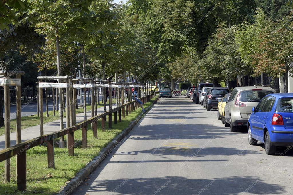 Városkép - Budapest - Fatelepítés