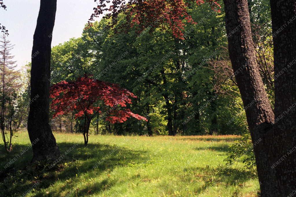 Természet - Kanadai képek