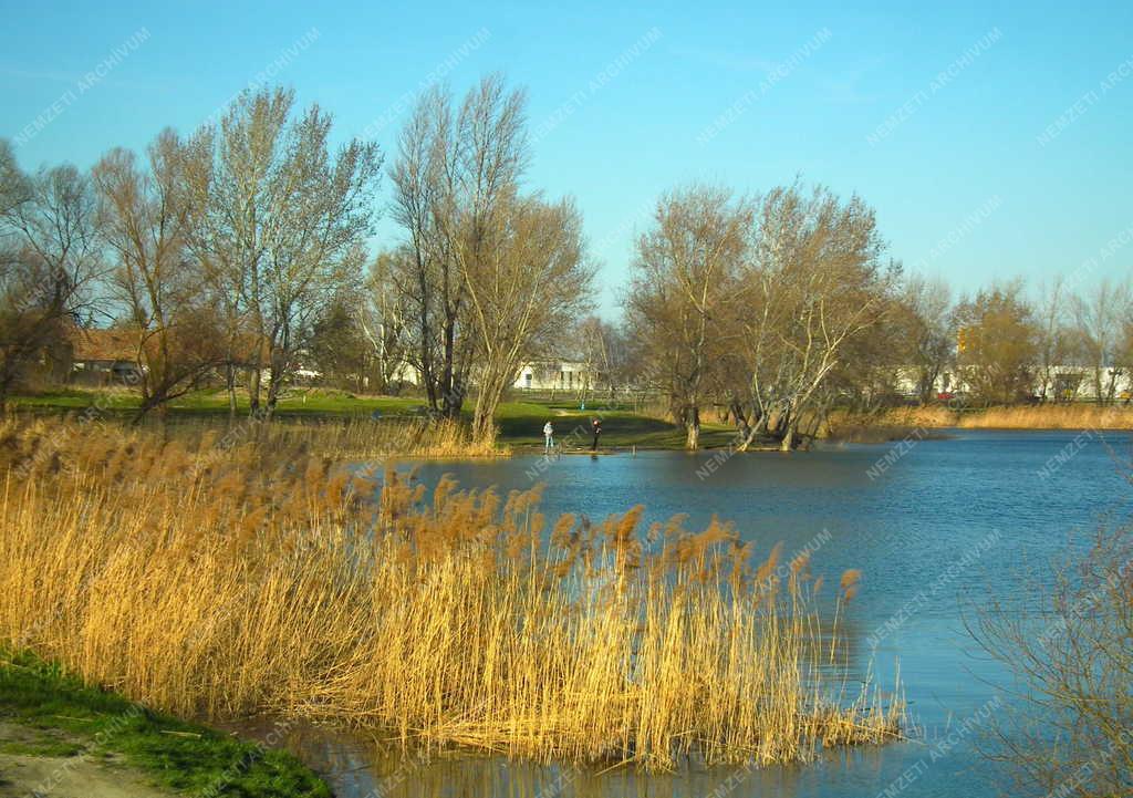 Táj, város - Budakalász - Omszki tó