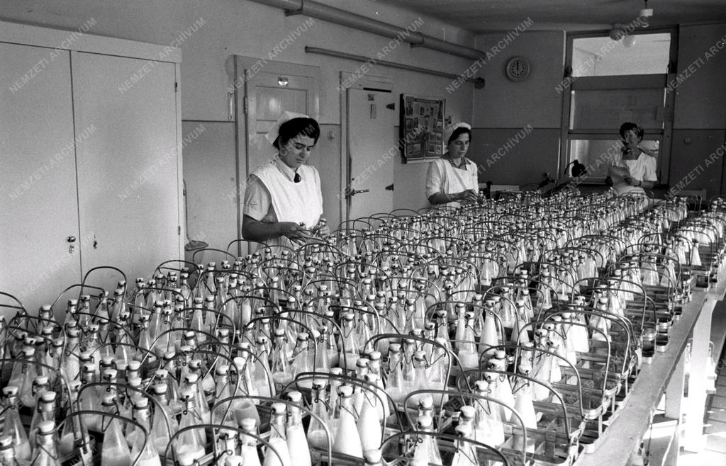 Társadalompolitika - Életmód vizsgálat