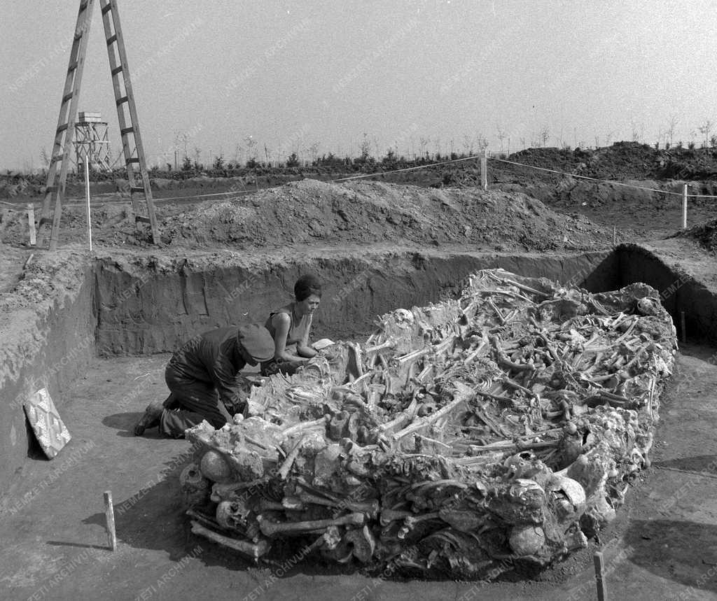 Tudomány - Régészet - Mohácsi tömegsír