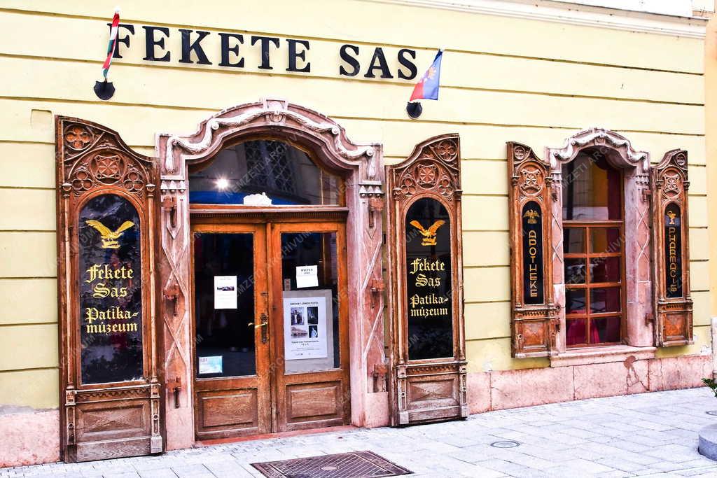 Épület - Székesfehérvár - A Fekete Sas Patikamúzeum