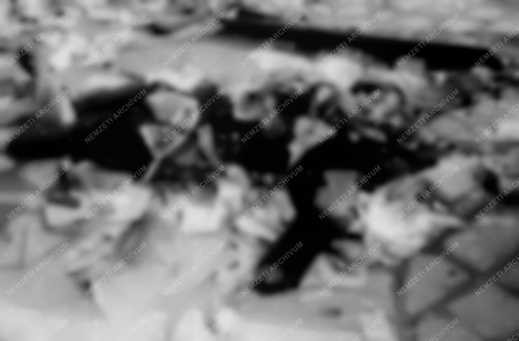 Ötvenhat emléke - Meglincselt ÁVH-s katona