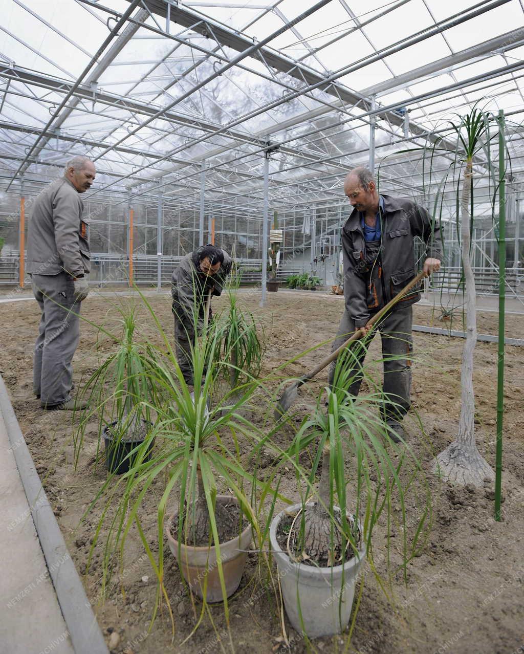 Épület - Debrecen - Új üvegház a botanikus kertben