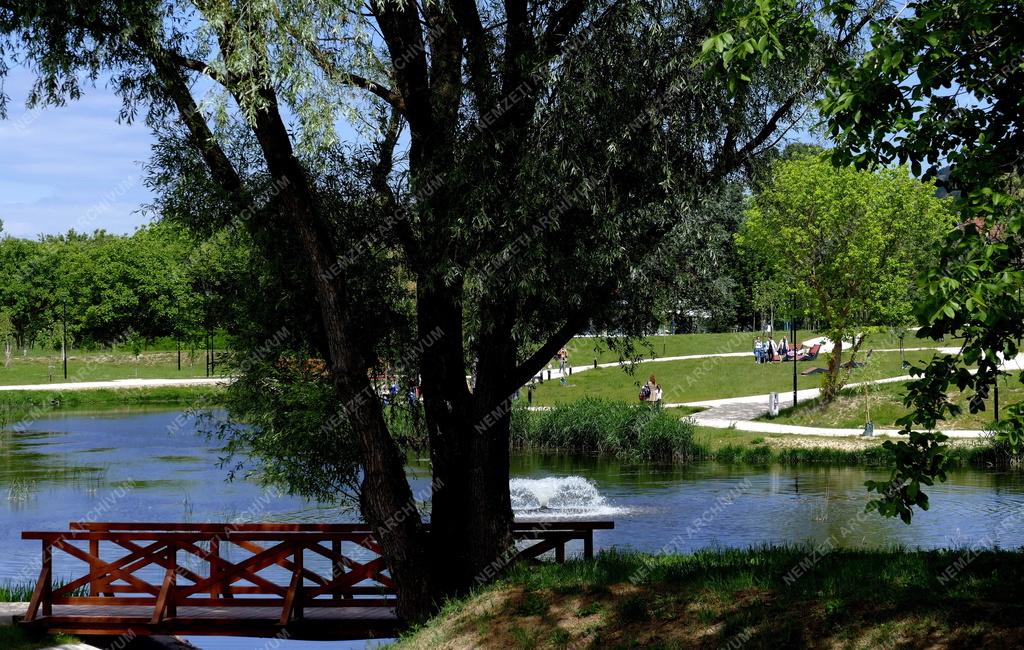 Városkép - Törökbálint - Belső tó