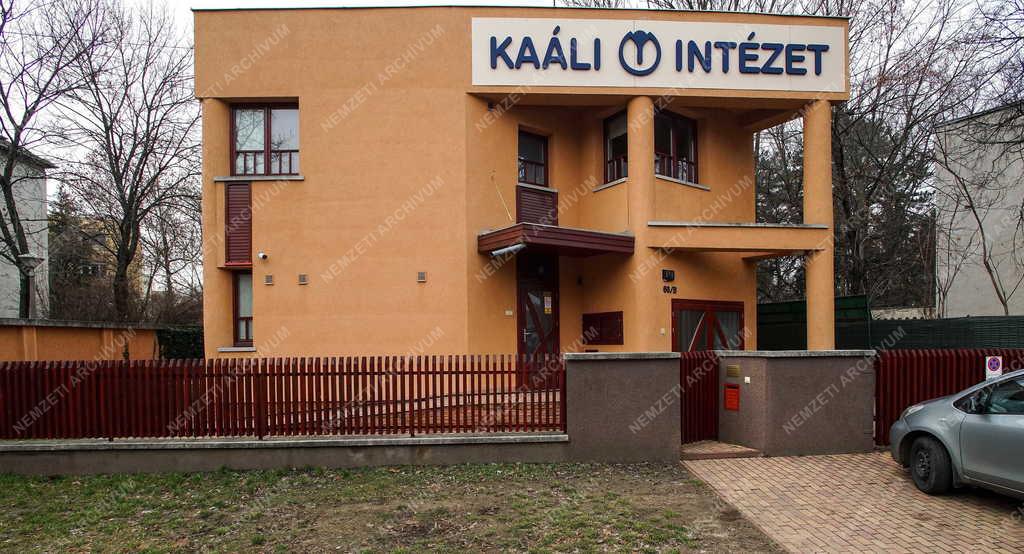 Egészségügy - Debrecen - Új Kaáli Intézet 