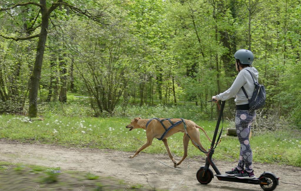 Városkép - Szabadidő - Erzsébet park Gödöllőn