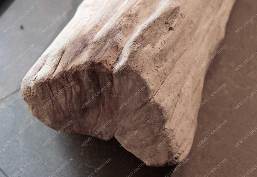 Természettudomány - Királyrét - Látogatóközpont