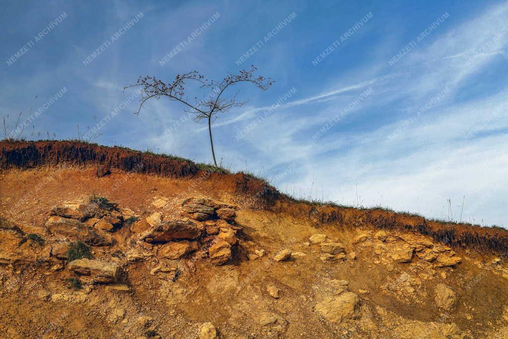 Természet - Őszi tájkép Erdélyben Zsoboknál 