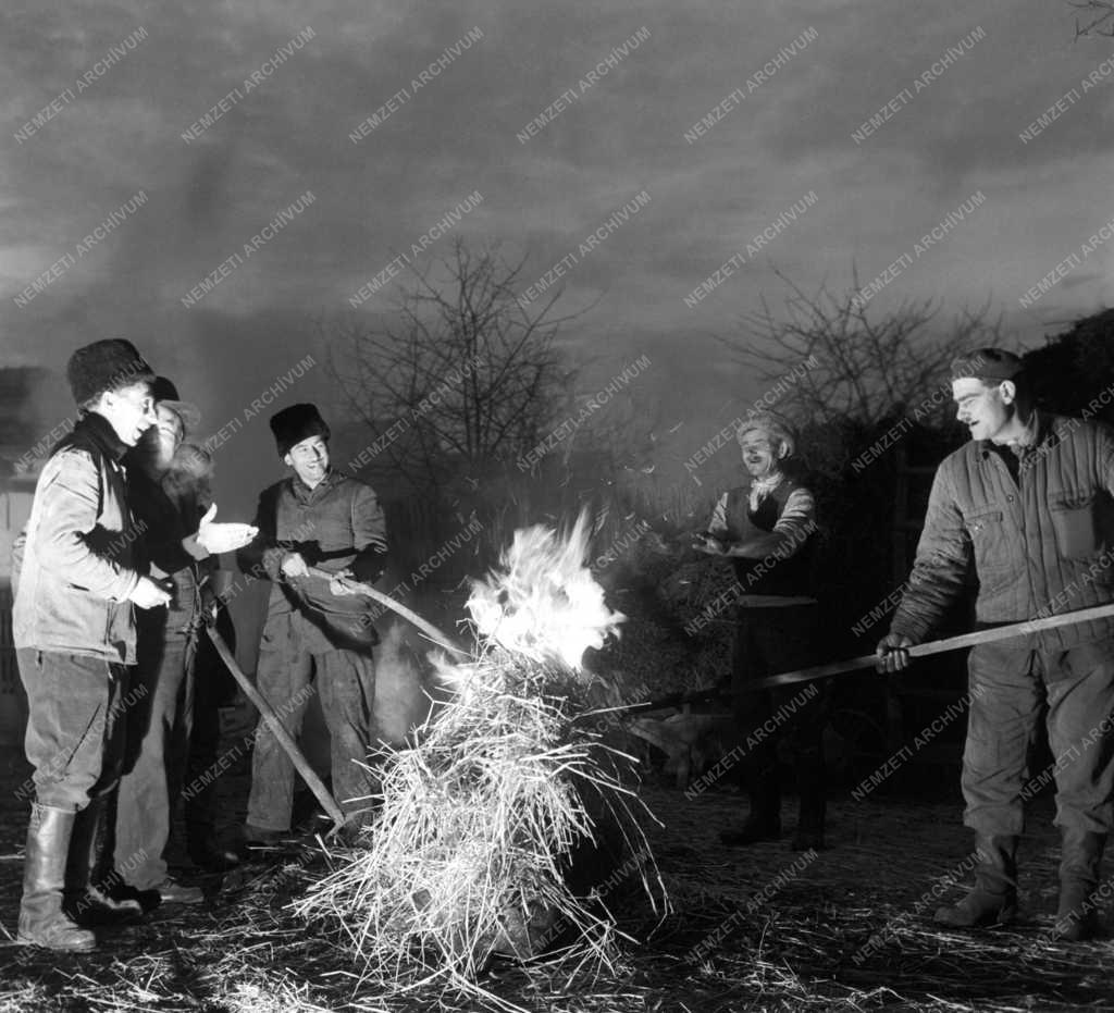 Életvitel - Falusi disznóvágás