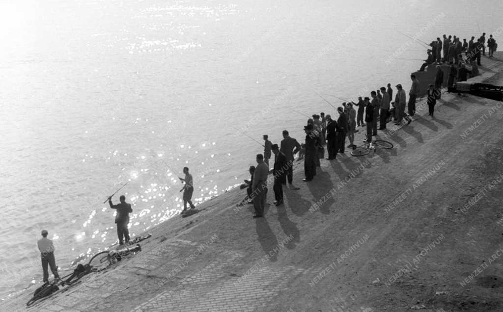 Szabadidő  - Sport - Horgászverseny a Duna parton