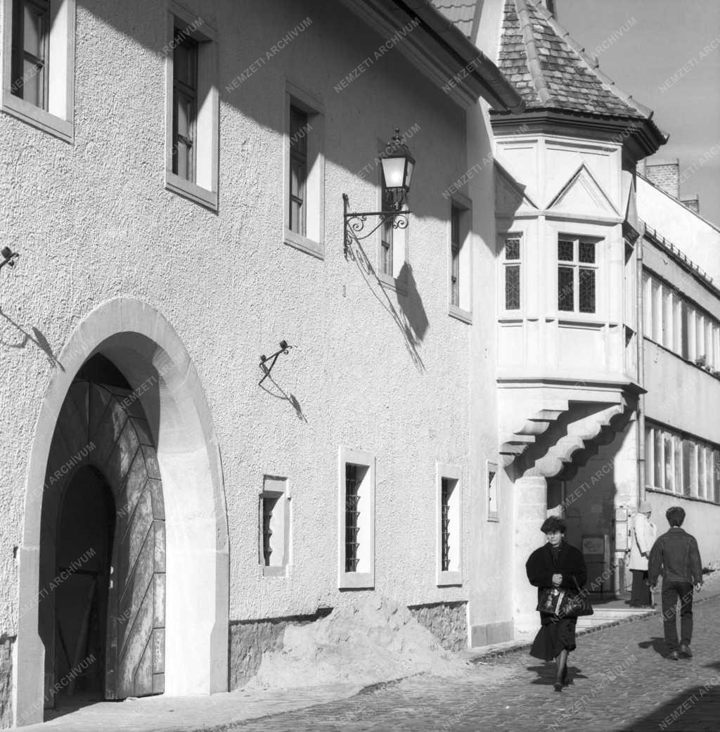 Városkép - A székesfehérvári régi megyeháza