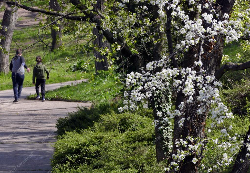 Városkép - Budapest - Tabán park