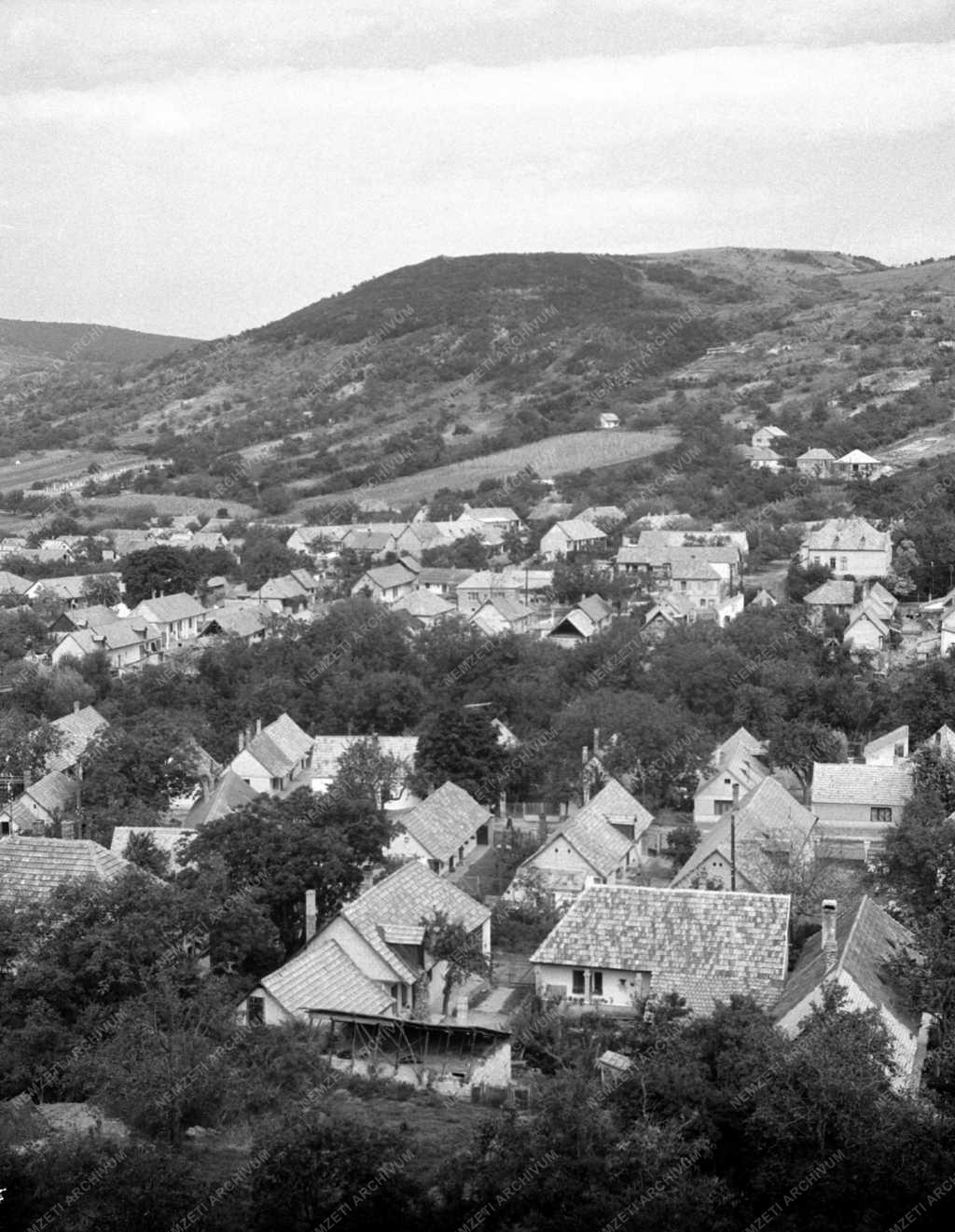 Életkép - Település - Pomáz