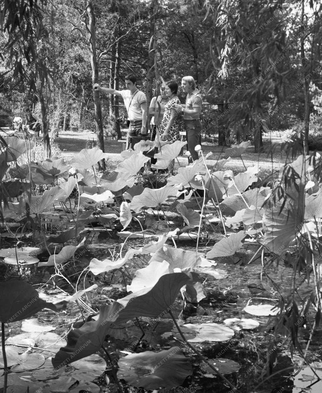 Természet - 50 éves a Szegedi Füvészkert