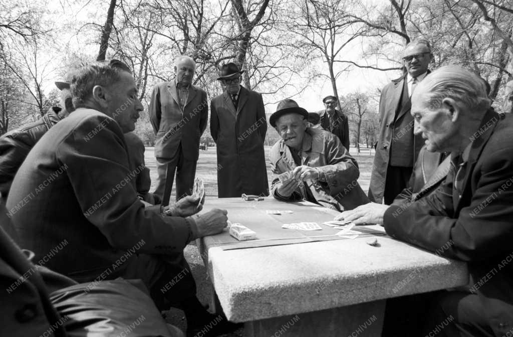 Budapest - Városligeti képek