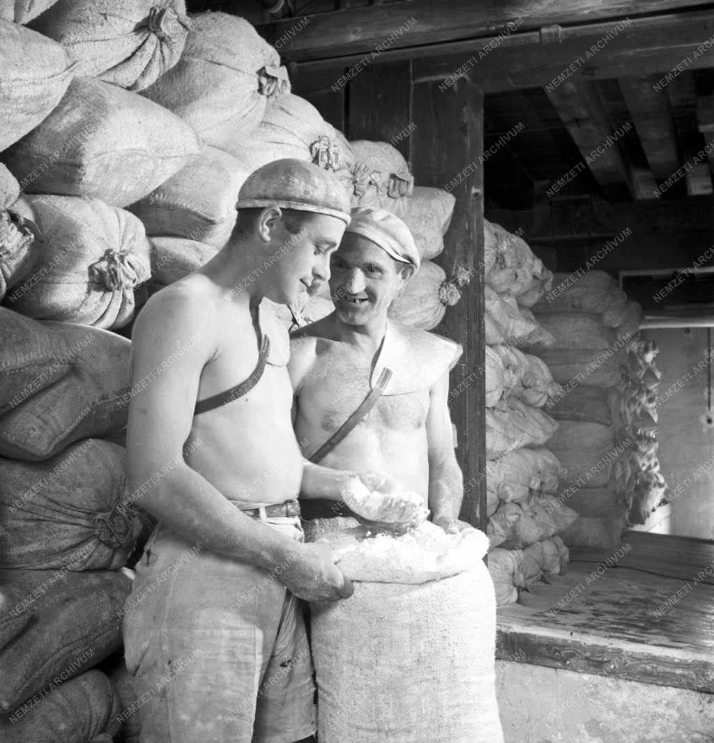 Élelmiszeripar - Búzaőrlés a Gizella-malomban