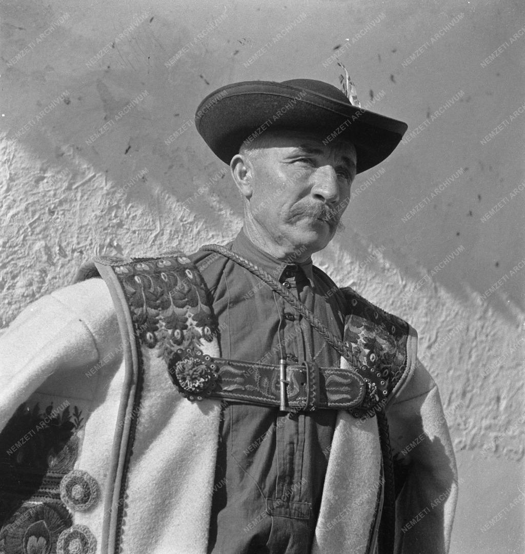 Kultúra - Hortobágy című film