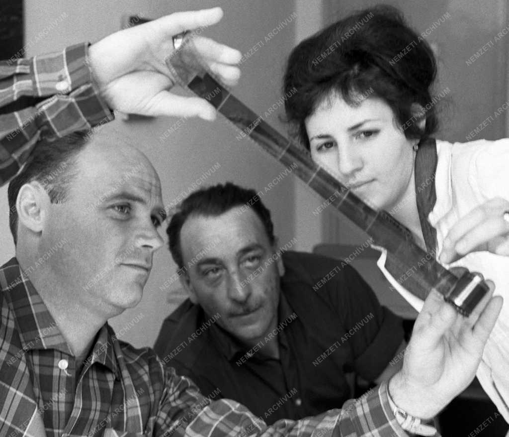 Szolgáltatás - Szolgáltatóház Siófokon