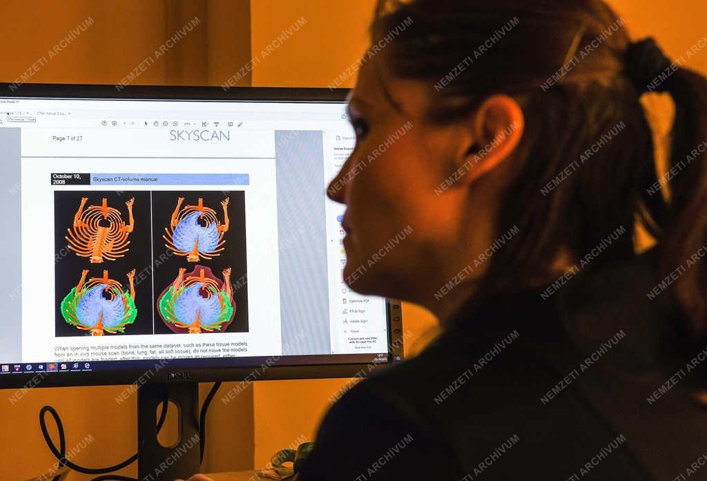 Tudomány - Debrecen - Computer tomográf az egyetemen