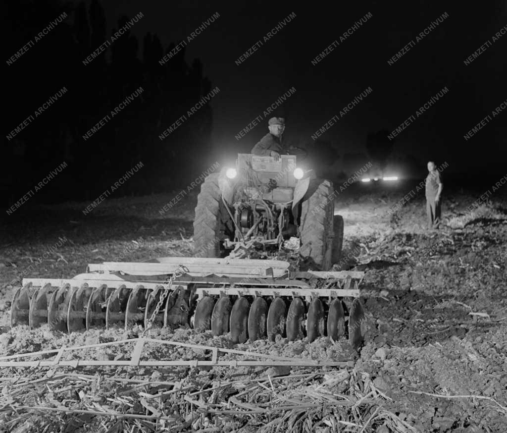 Mezőgazdaság - Nyújtott műszakban dolgoznak a gamási traktorosok