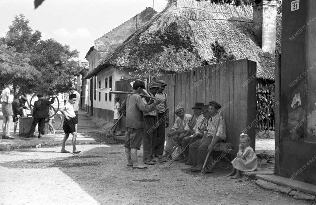 Életkép - Árvíz után Győr környékén
