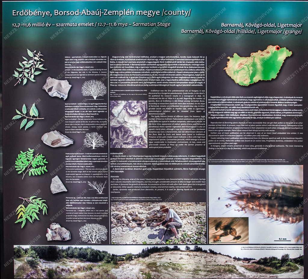 Kultúra - Miskolc - Új kiállítóhely - Pannon-tenger Múzeum