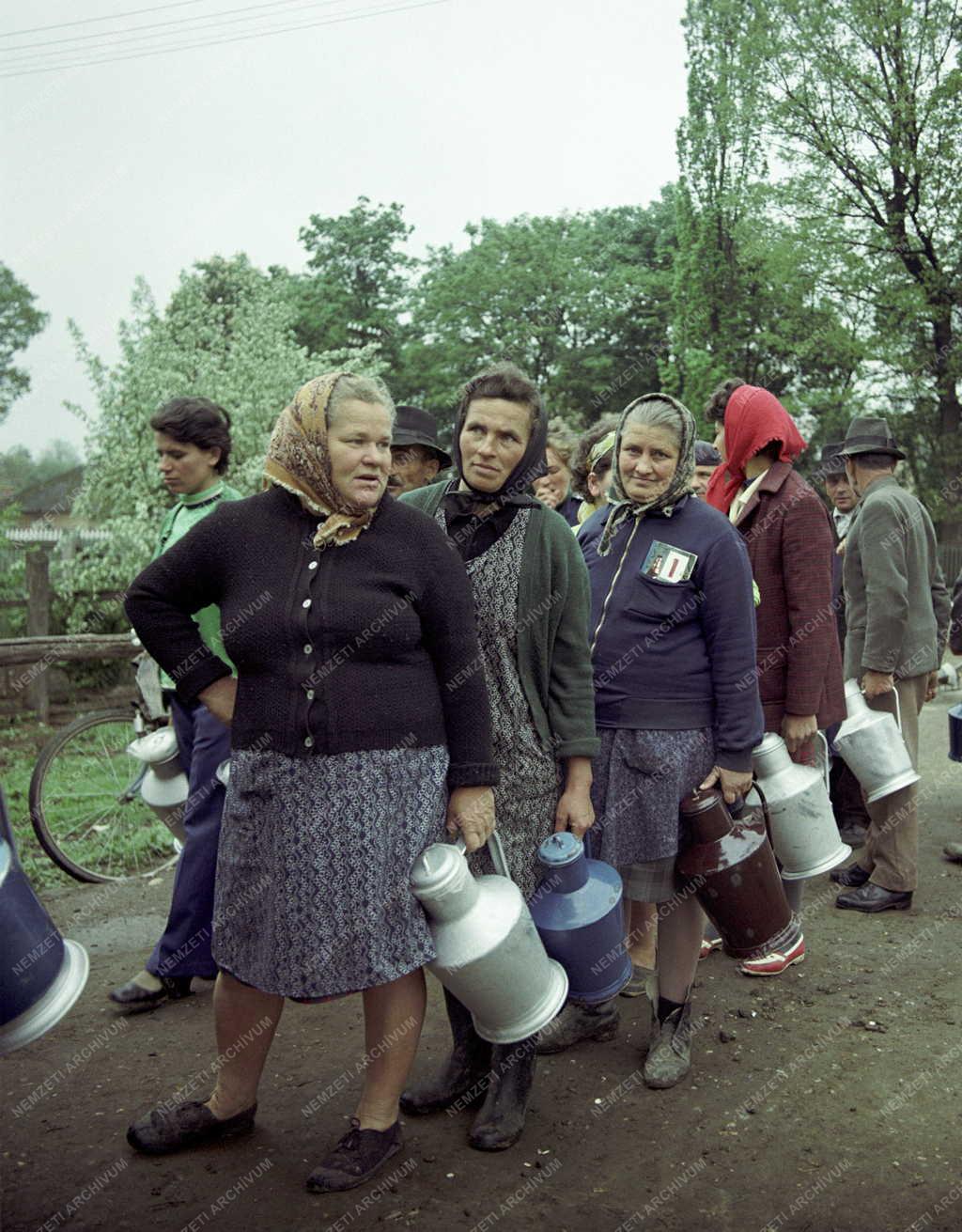 Életkép - Tejesasszonyok