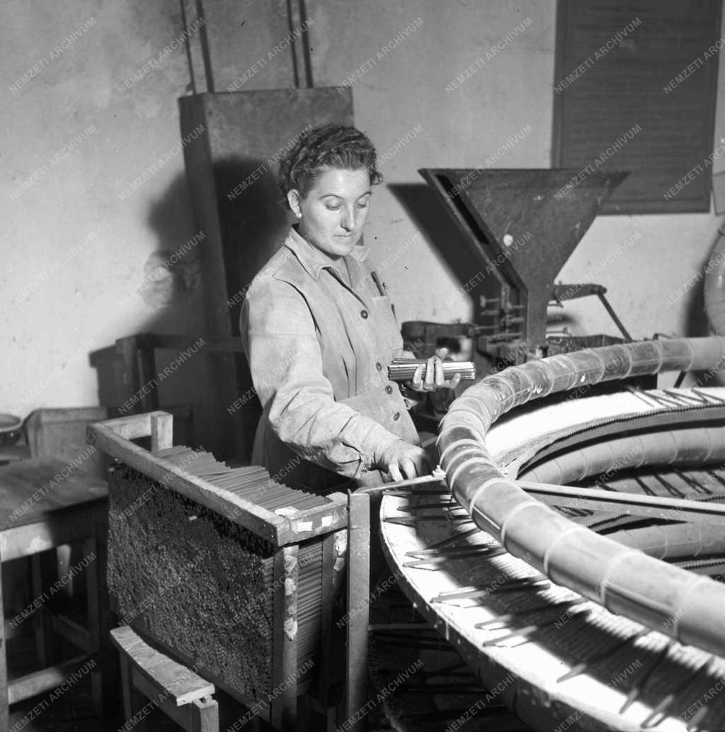 Gazdaság - Írószergyár - Ceruzák festése