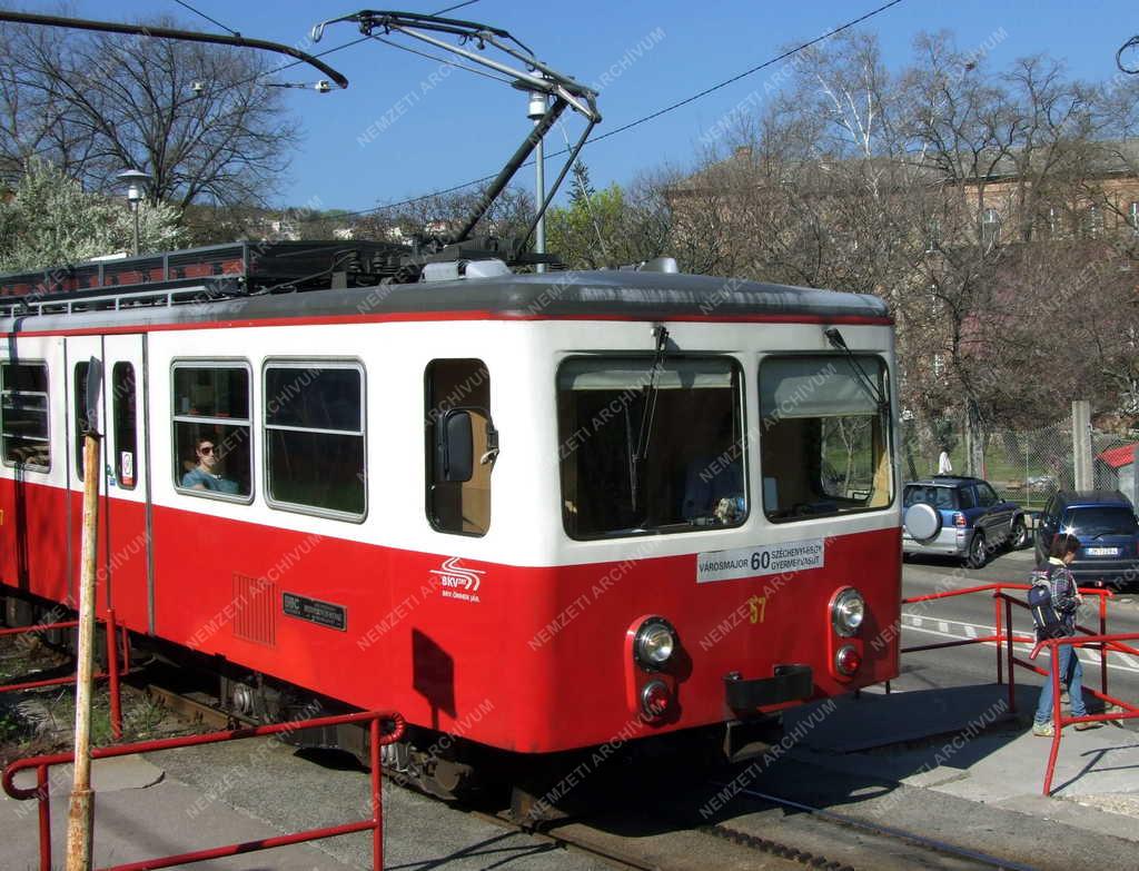 Közlekedés - Budapest - A budapesti fogaskerekű