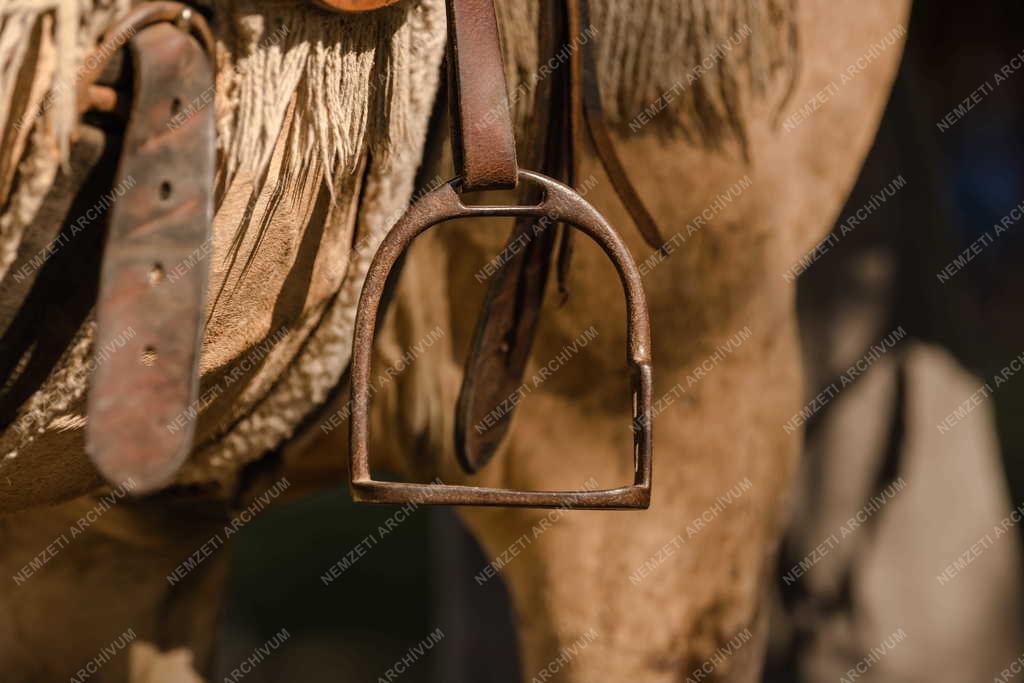 Állatvilág - Mezőgazdaság - Lószerszám