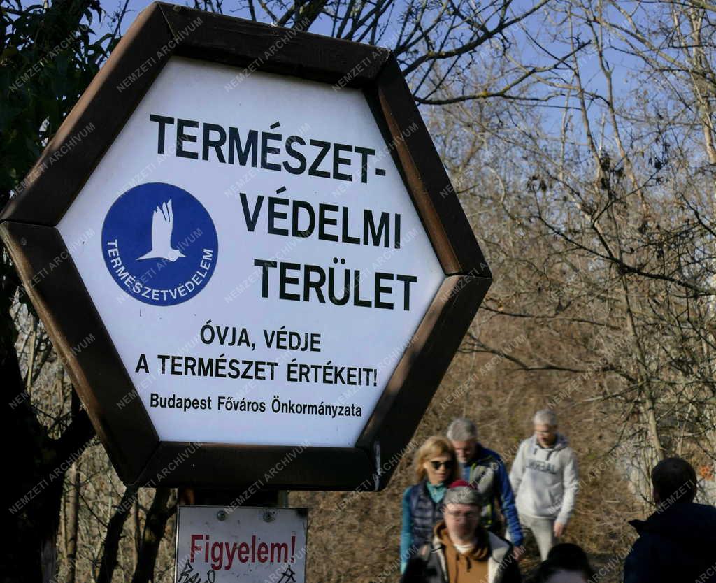 Turizmus - Budapest - Természetjárók az Apáthy-sziklánál