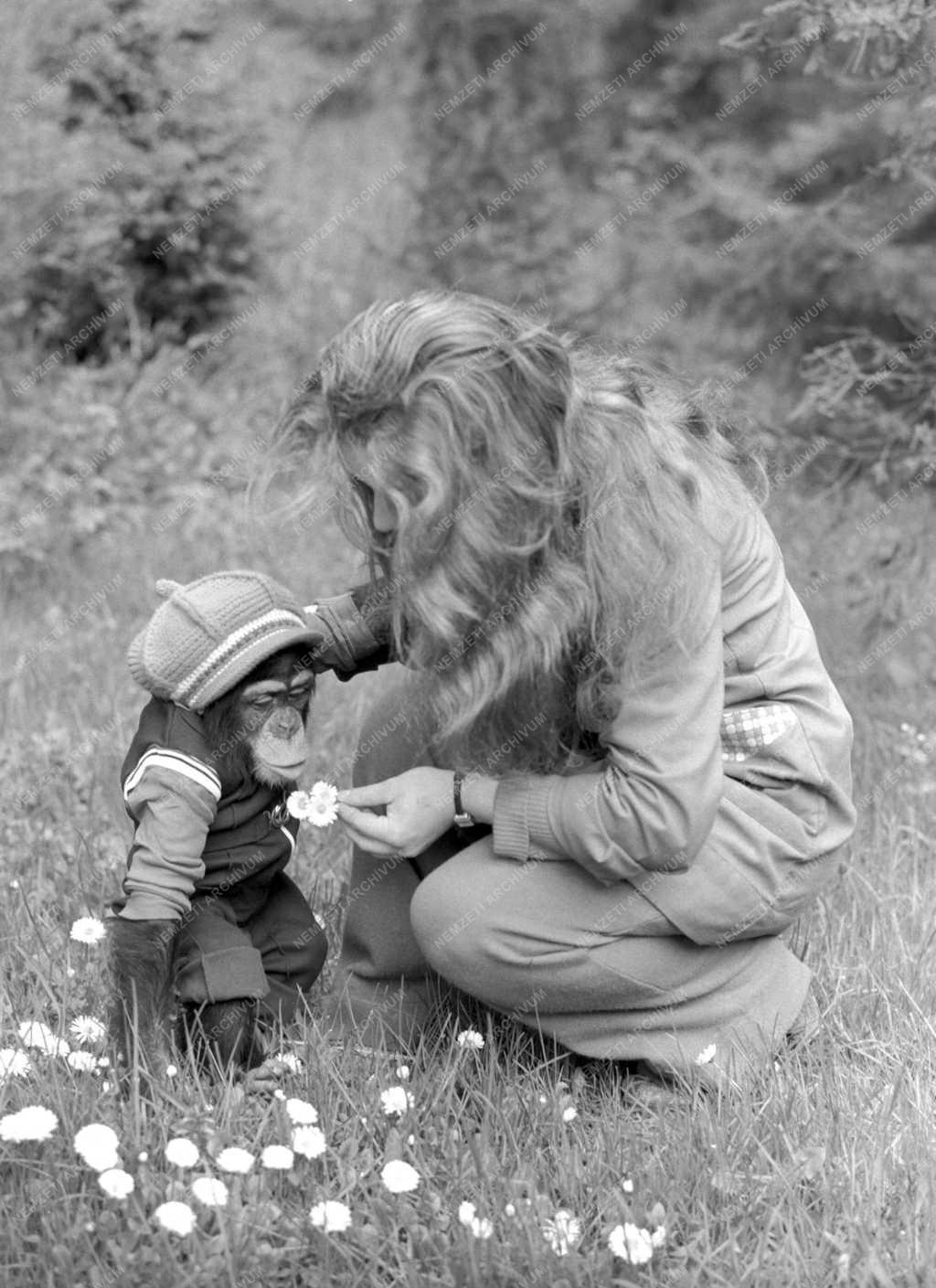 Állatkert - Tavasz a veszprémi állatkertben