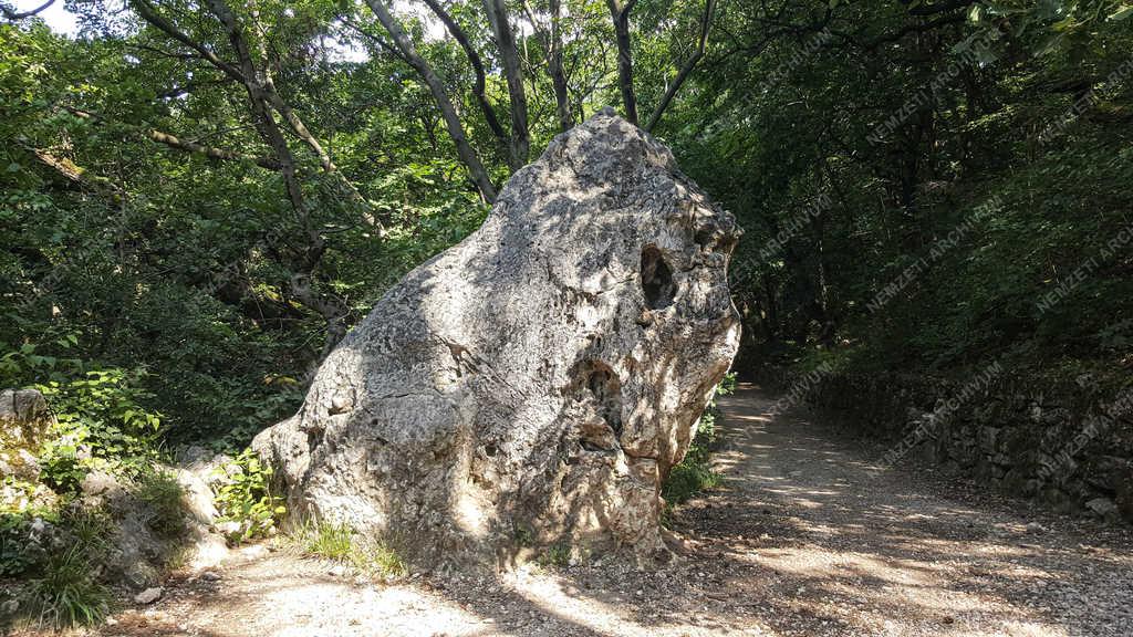 Természet - Budapest - Oroszlán-szikla 