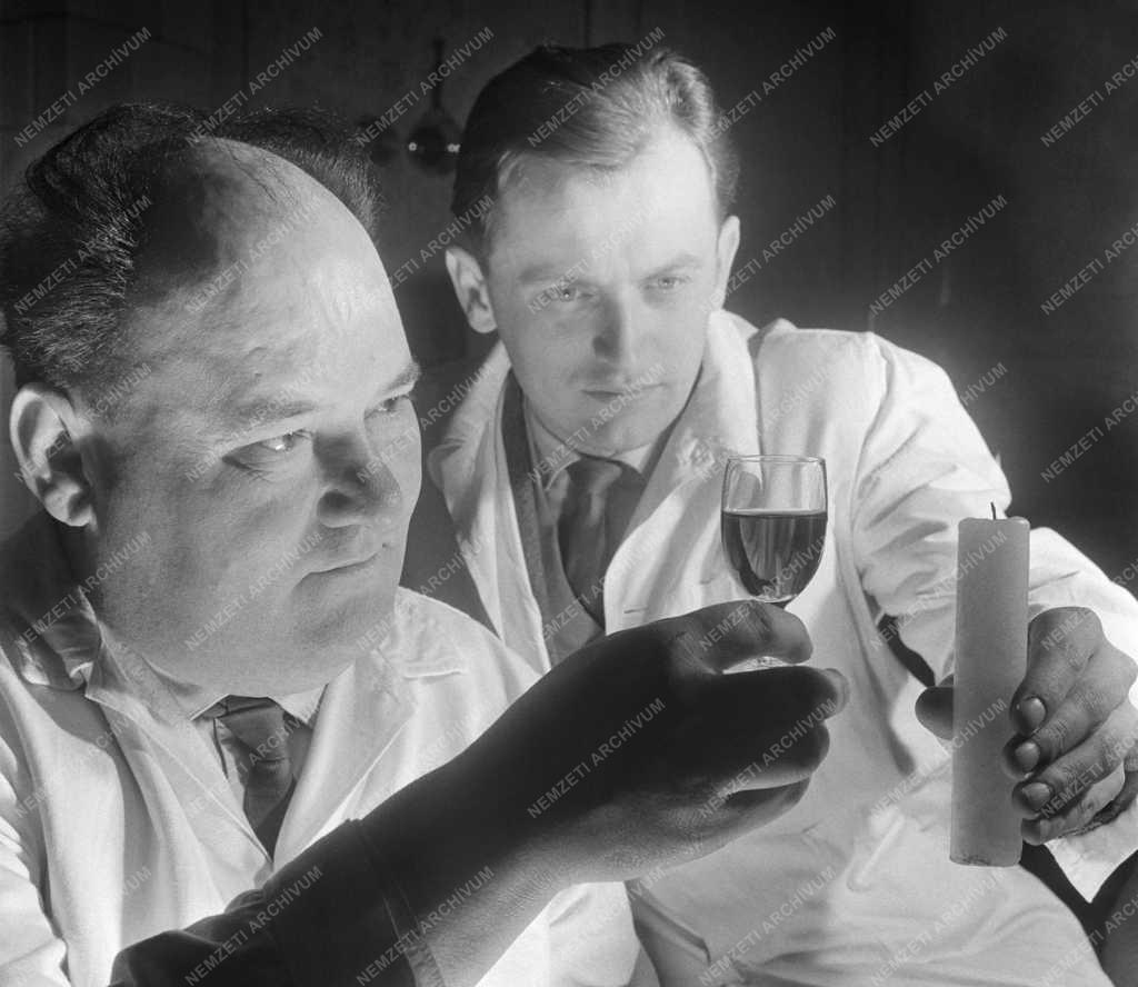 Mezőgazdaság - Szőlészeti Kutató Intézet 