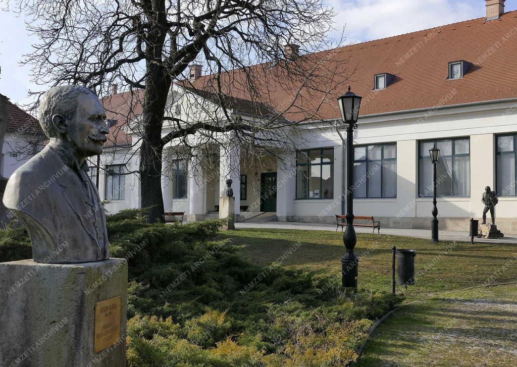 Városkép - Érd - Batthyány–Sina–Wimpffen–Károlyi-kastély