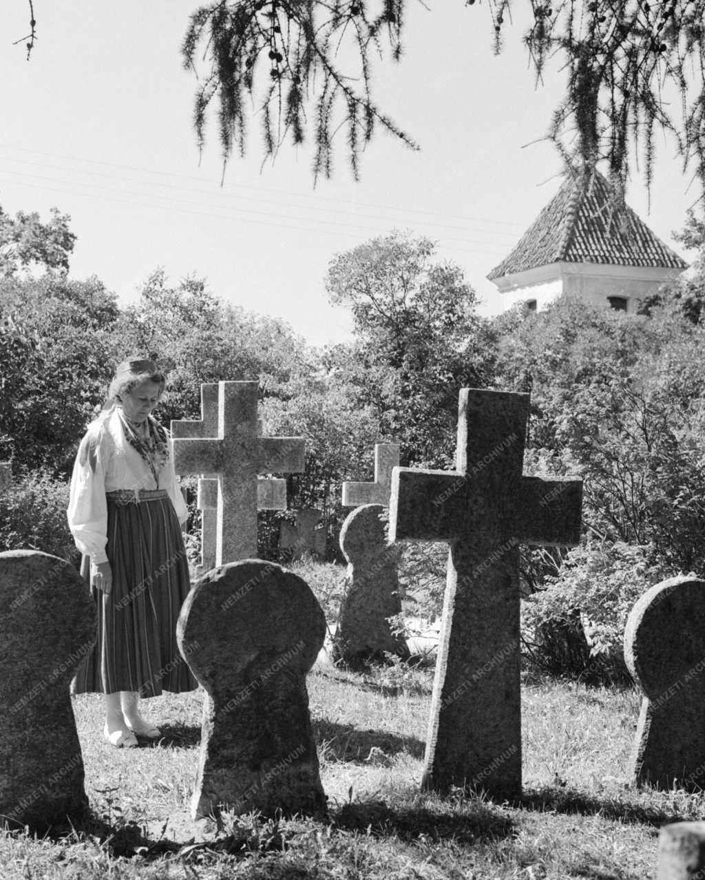 Életkép - Észt SZSZK - Tallin