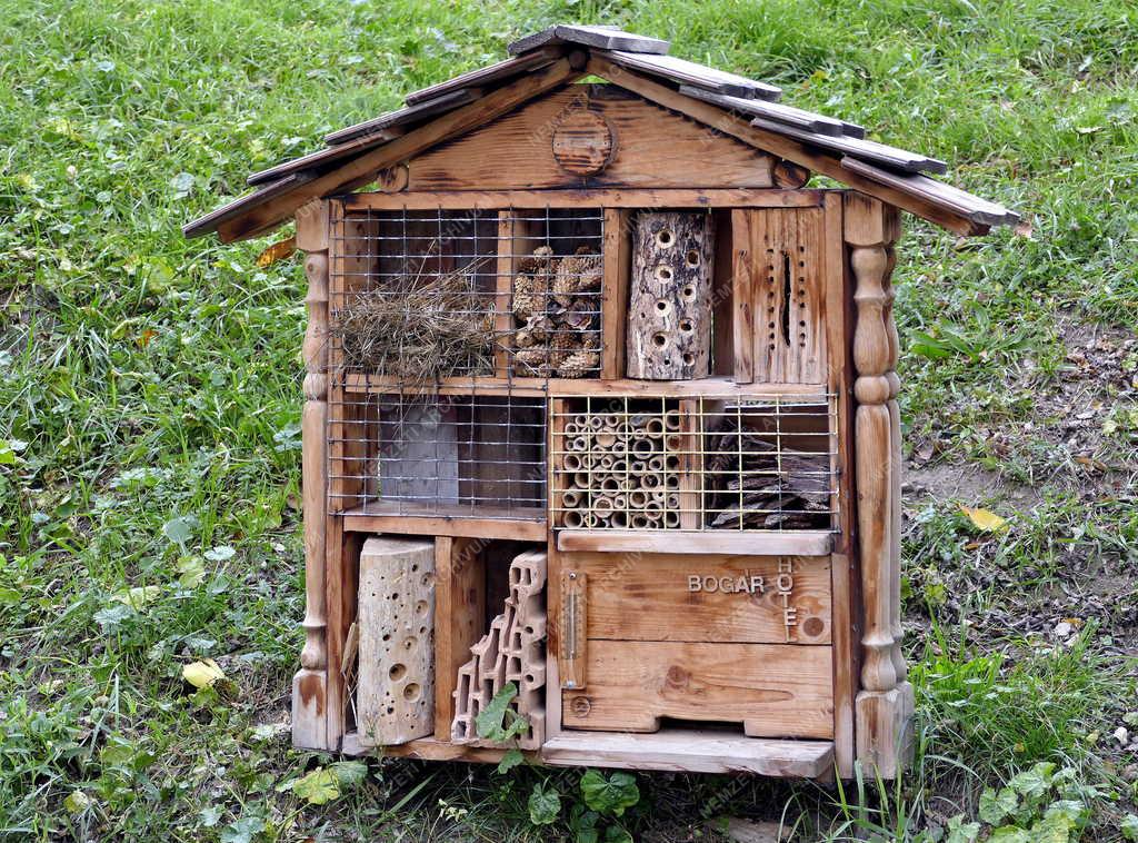 Természet - Rovarhotel Mosonmagyaróváron