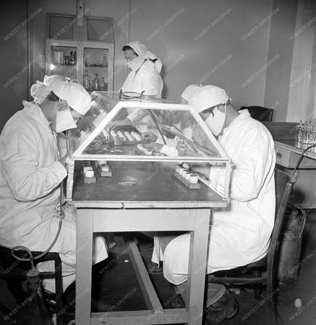 Tudomány - Laboratóriumi vizsgálatok
