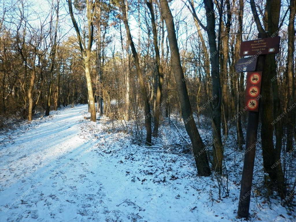Természet - Turistaút a Budai-hegységben