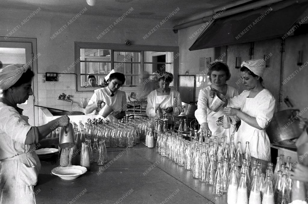 Társadalompolitika - Életmód vizsgálat