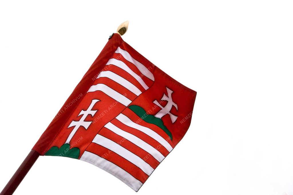 Jelkép - Pákozd -  Magyar honvéd csapatzászló