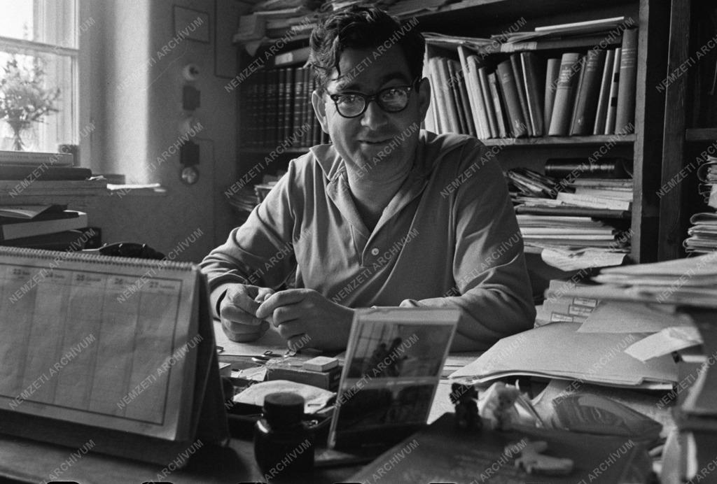 Közgyűjtemény - Személy - Karsai Elek történész, levéltáros